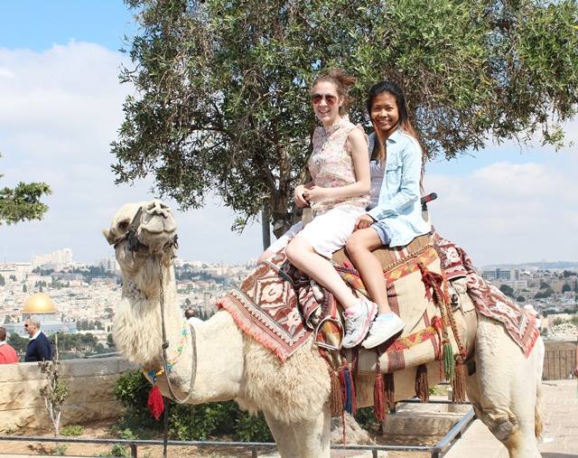 Travel Highlights 2015-Israel