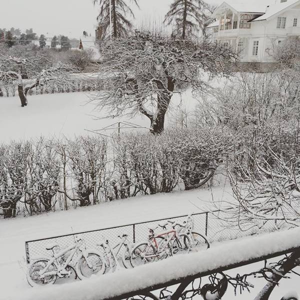 Winter Season in Norway (Bygdøy)