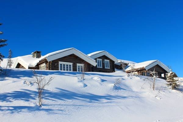 Norwegian Log Cabin