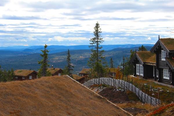 Norwegian Style Log Cabin