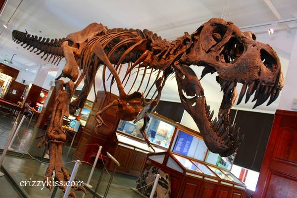 Best museums in Oslo