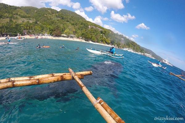 Whale shark watching