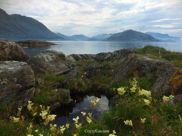 Norwegian Summer